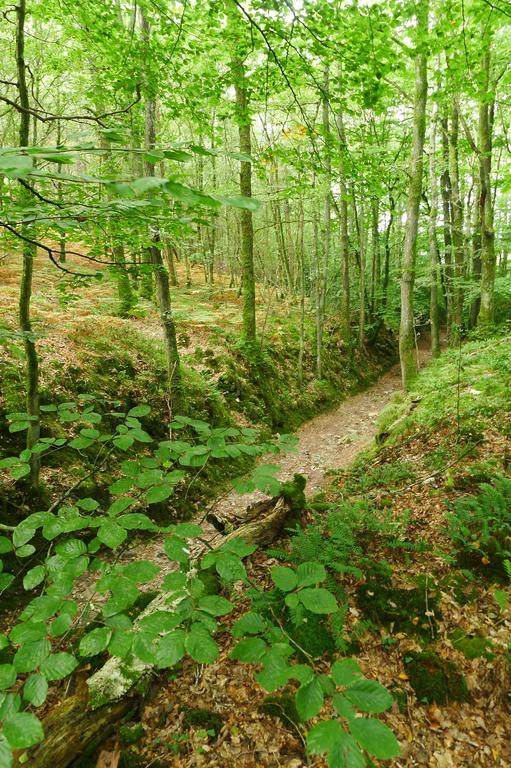 مبيت وإفطار La Lande-de-Goult La Cage Aux Oiseaux المظهر الخارجي الصورة